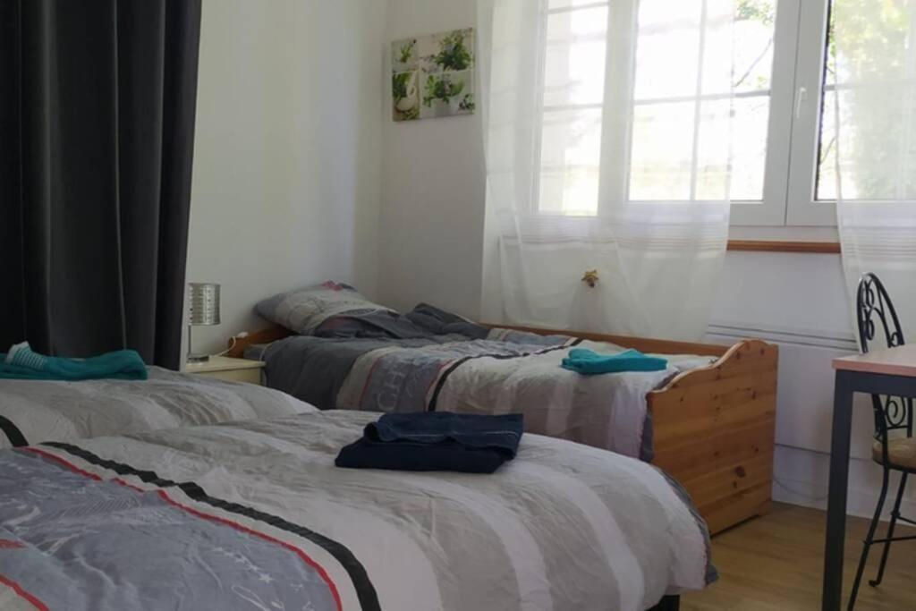 Plonéour-Lanvern 12 Rdc Appartement 2 Chambres Jardin Terrasse מראה חיצוני תמונה