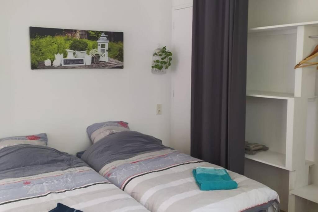 Plonéour-Lanvern 12 Rdc Appartement 2 Chambres Jardin Terrasse מראה חיצוני תמונה